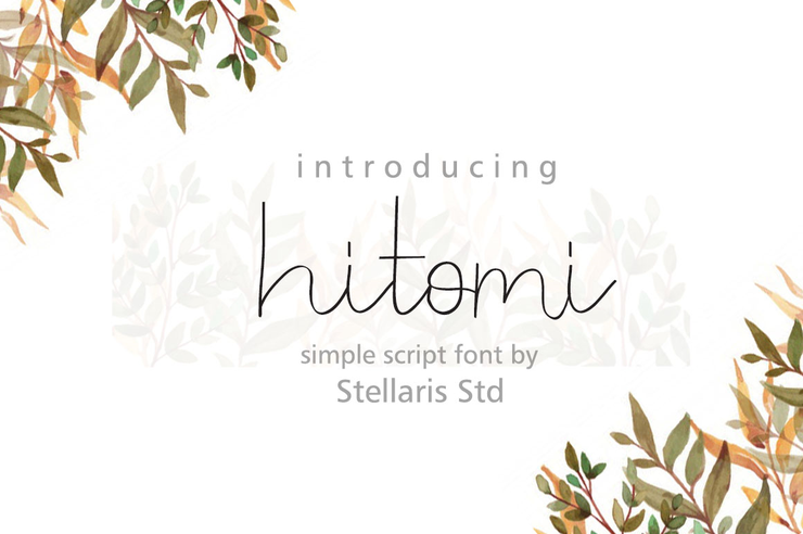 hitomi字体 1