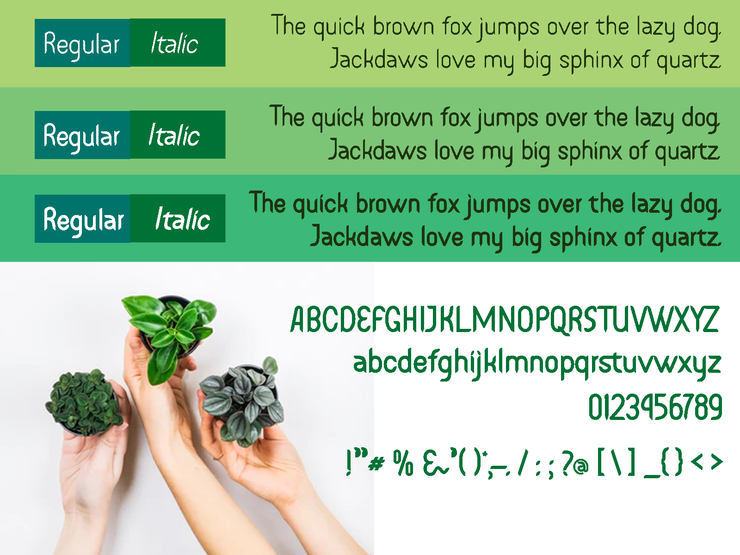 Foliage字体 3