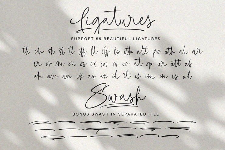 Taylor Hand字体 3