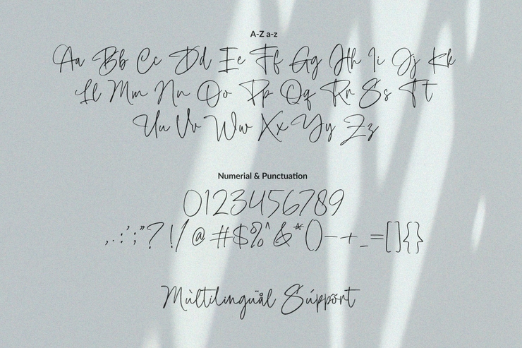 Taylor Hand字体 10