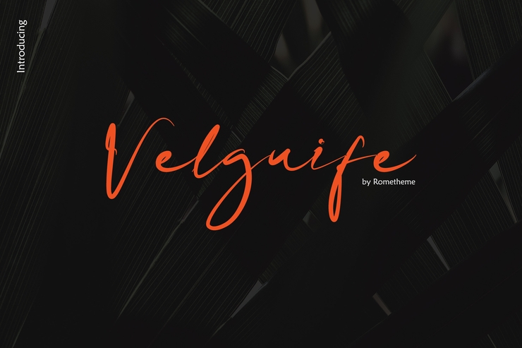 Velguife字体 1