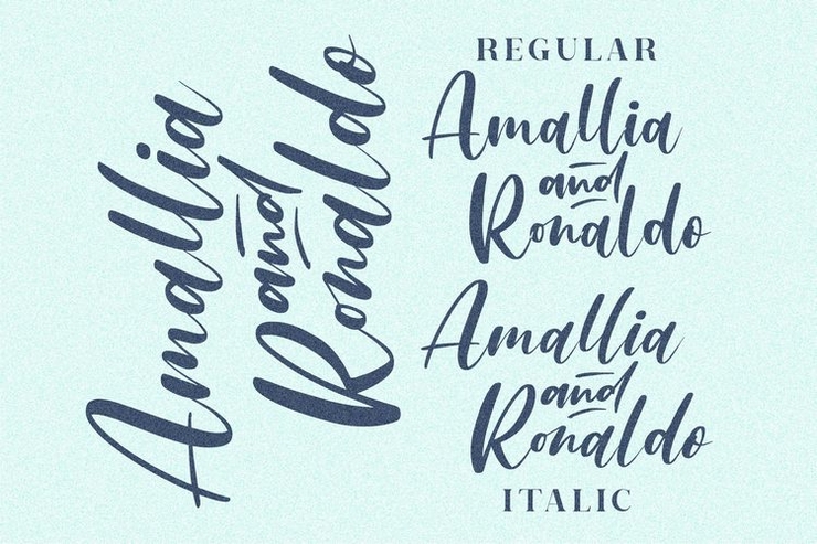 Amallia and Ronaldo字体 7