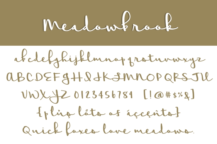 Meadowbrook字体 3