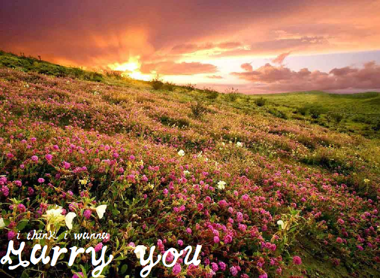 MarryYou字体 1