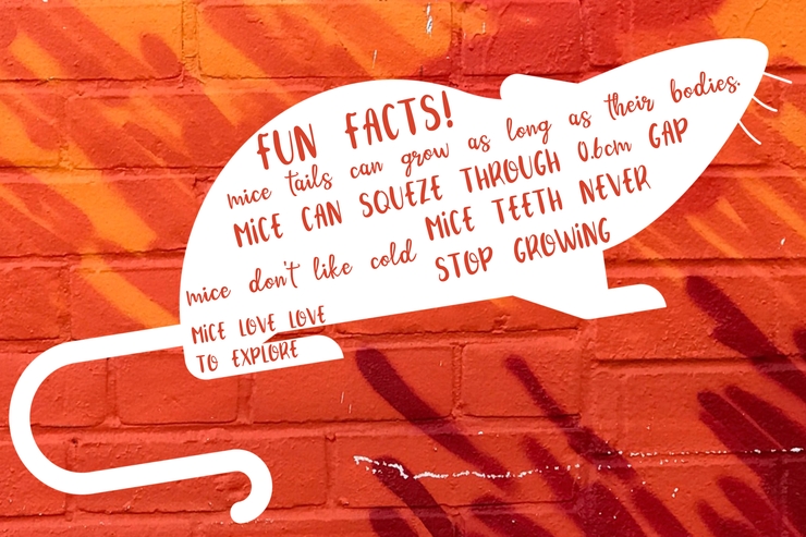 Cinnamon Cookie字体 2