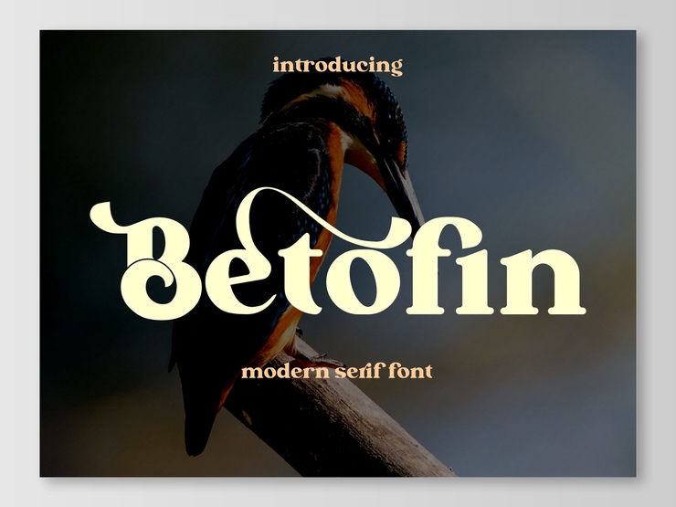 Betofin字体 4