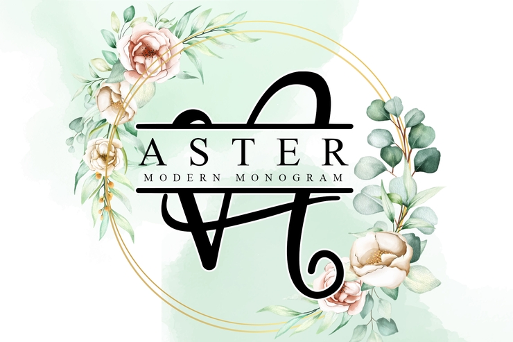 Aster Monogram _字体 2