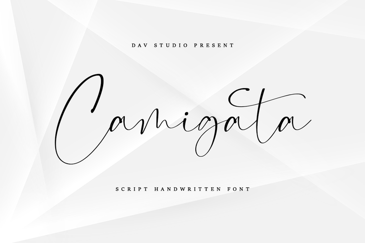 Camigata字体 1