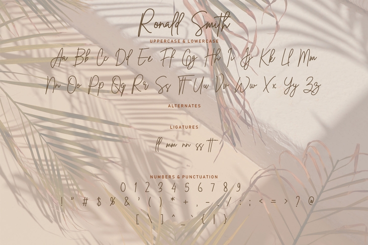 Ronald Smith字体 2