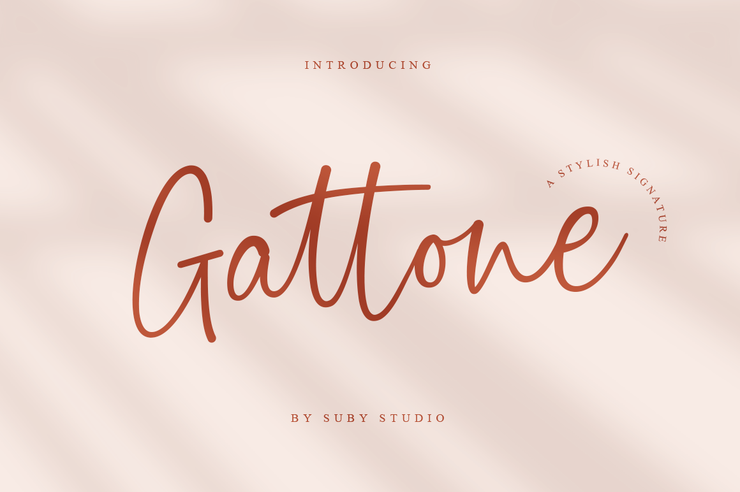 Gattone Script字体 1