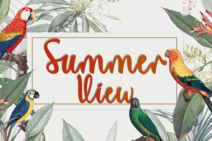 Summer View字体 4
