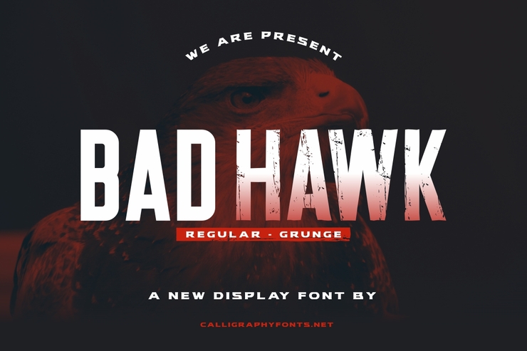 Bad Hawk字体 1