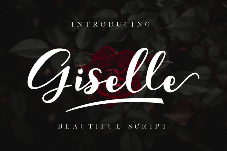Giselle字体 1