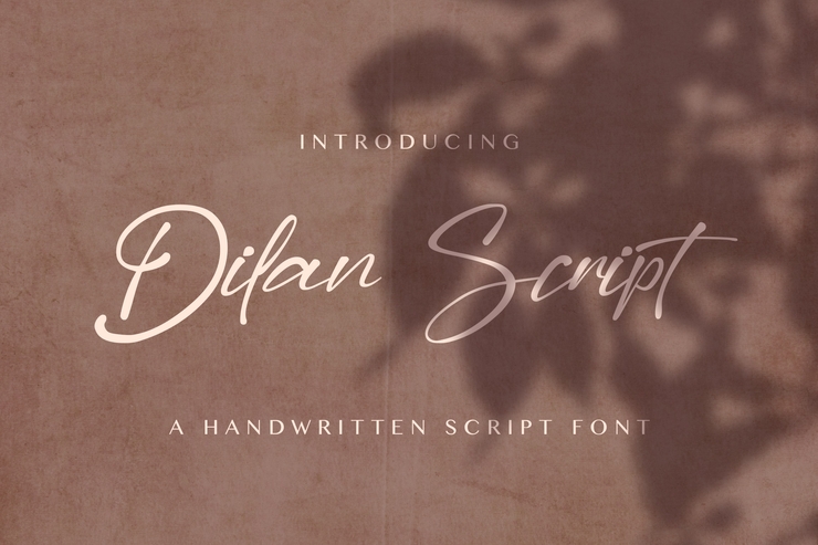 Dilan Script字体 6