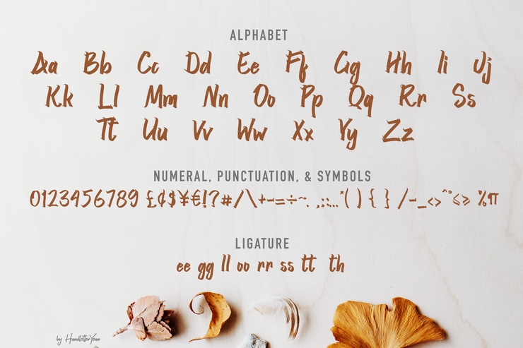 Srikaya字体 8
