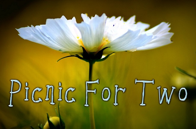 Picnicfortwo字体 2