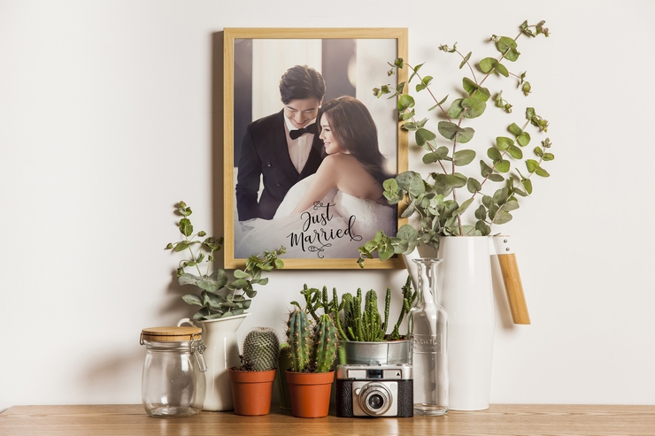 adaline script字体 5