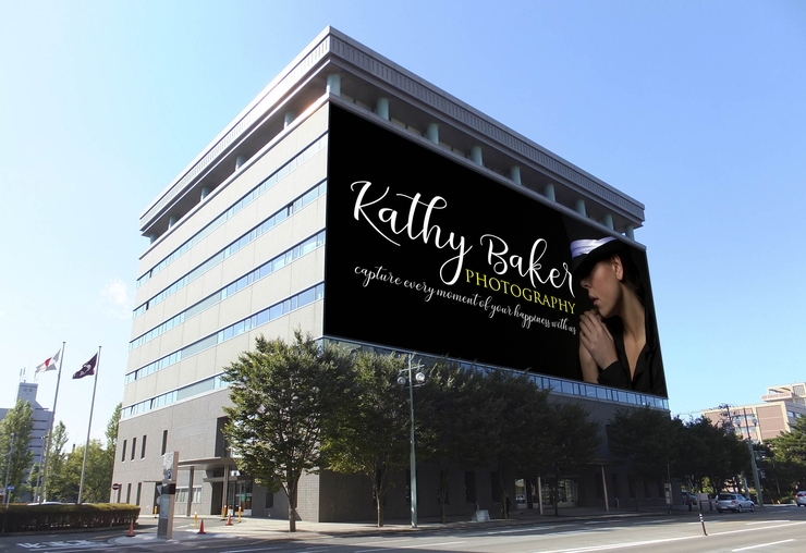 adaline script字体 9