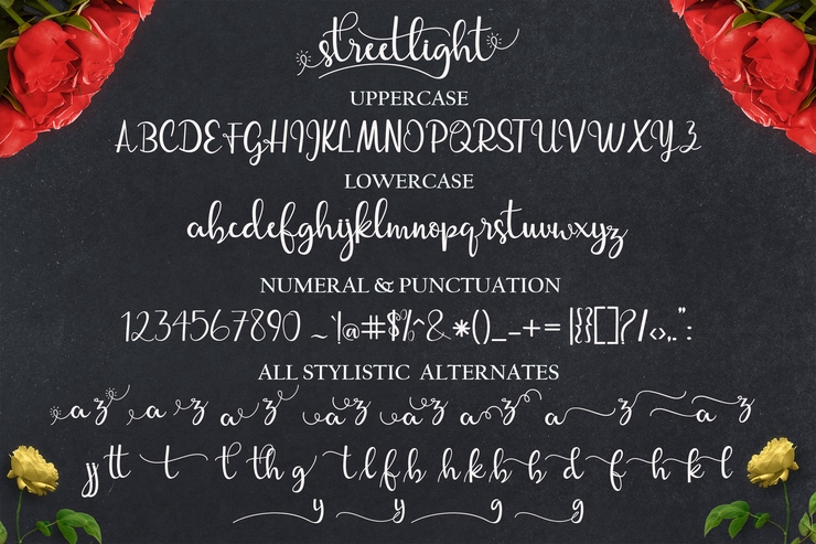 Streetlight字体 3