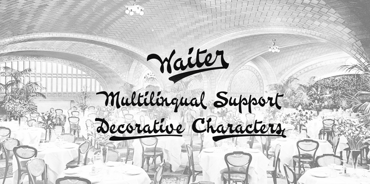 Waiter字体 3