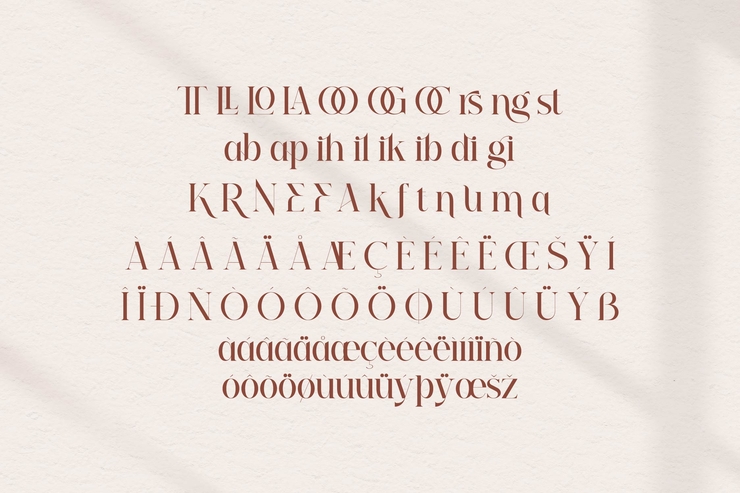 Relatta Saidnolia Serif字体 2