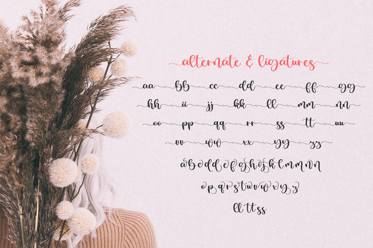 Blushmine字体 3