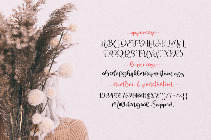 Blushmine字体 9