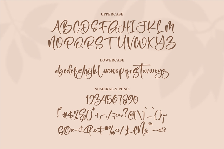 Westerny Barnett字体 10