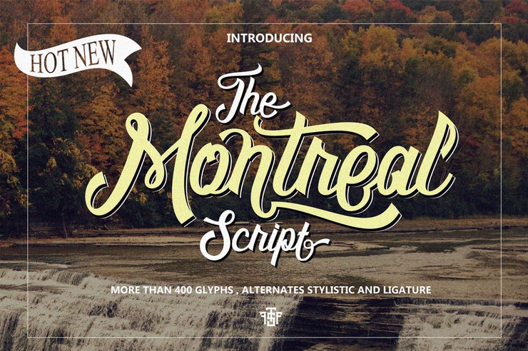 Montreal Script字体 6