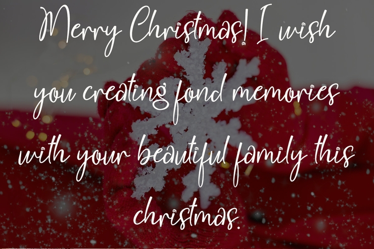 Christmas Delight字体 4
