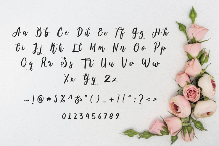 Abelia White字体 5