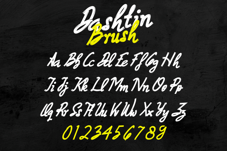 Dashtin Brush字体 5