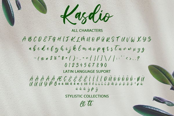 Kasdio字体 1