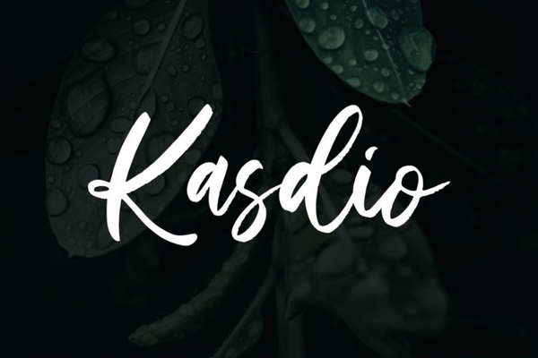 Kasdio字体 3