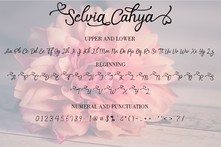 Selvia Cahya字体 2