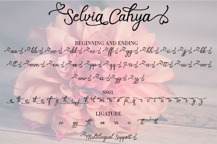 Selvia Cahya字体 4