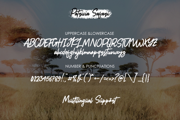 Patricia Safari字体 4