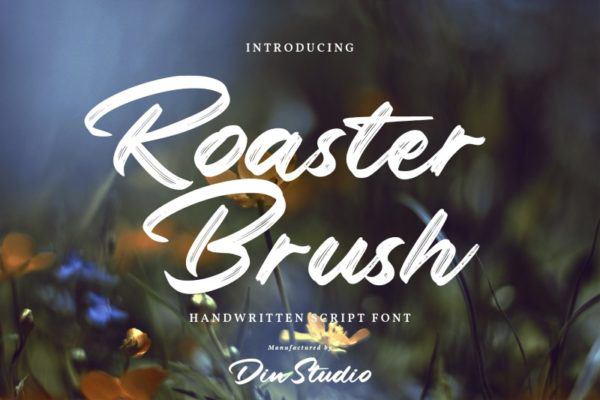 Roaster Brush字体 1