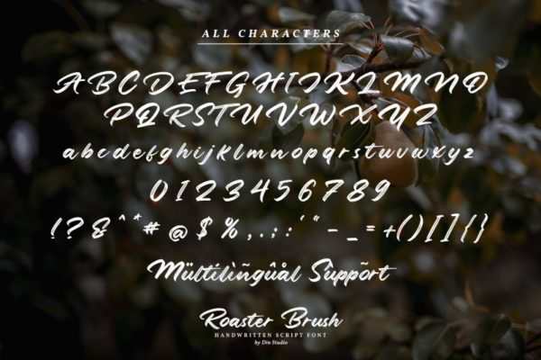 Roaster Brush字体 2