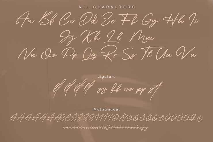 Costtella Signature字体 2