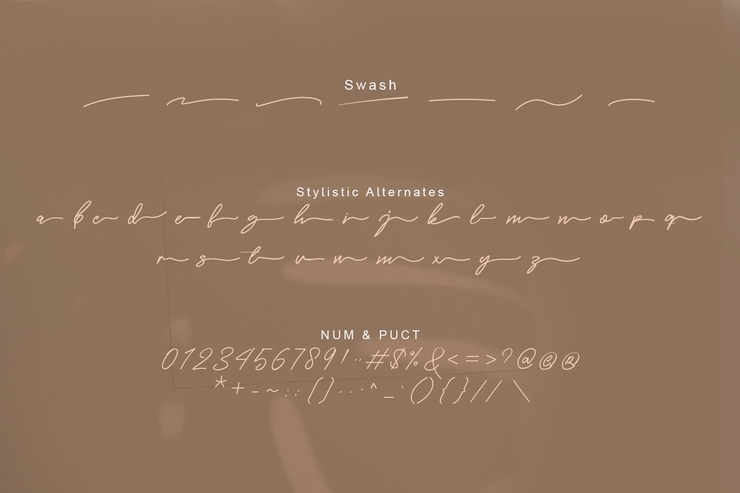 Costtella Signature字体 4
