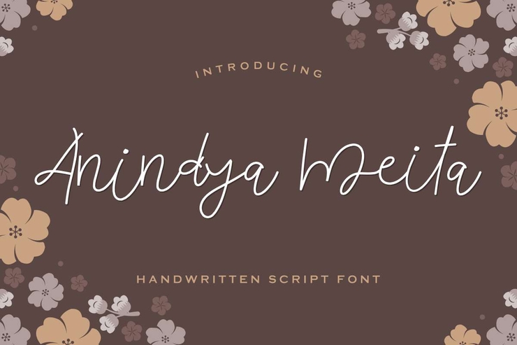 Anindya Meita字体 1