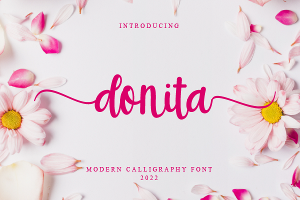 Donita字体 2