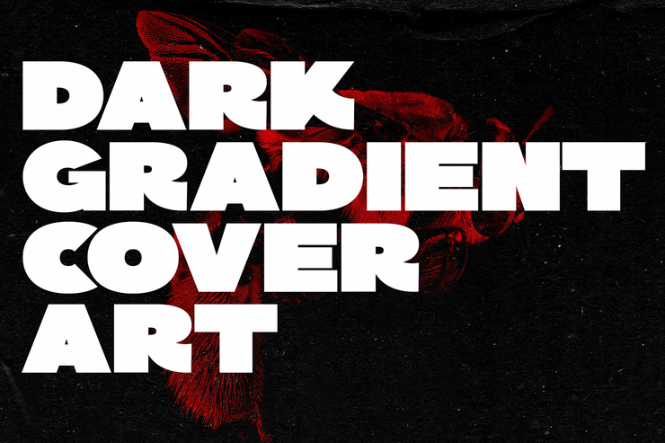 PERFORM GENERIC字体 2