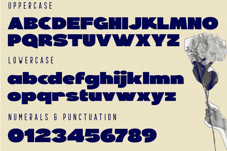 PERFORM GENERIC字体 4