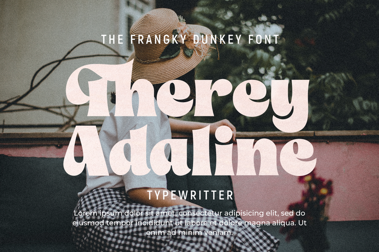 The Franky Dunkey字体 2