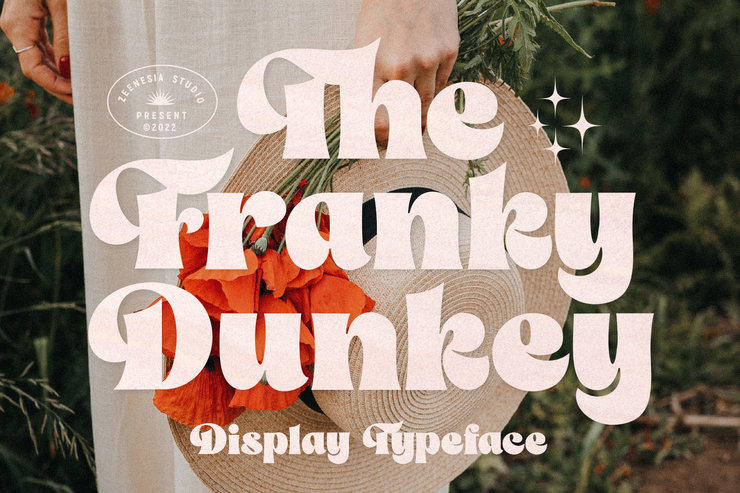 The Franky Dunkey字体 4