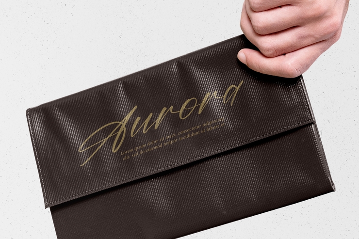 Amstera Balika字体 5