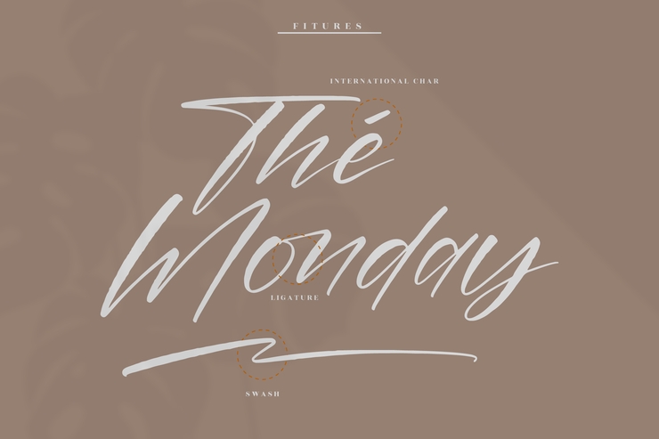 Amstera Balika字体 8