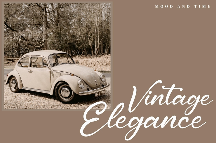 Cantika Sarah字体 6